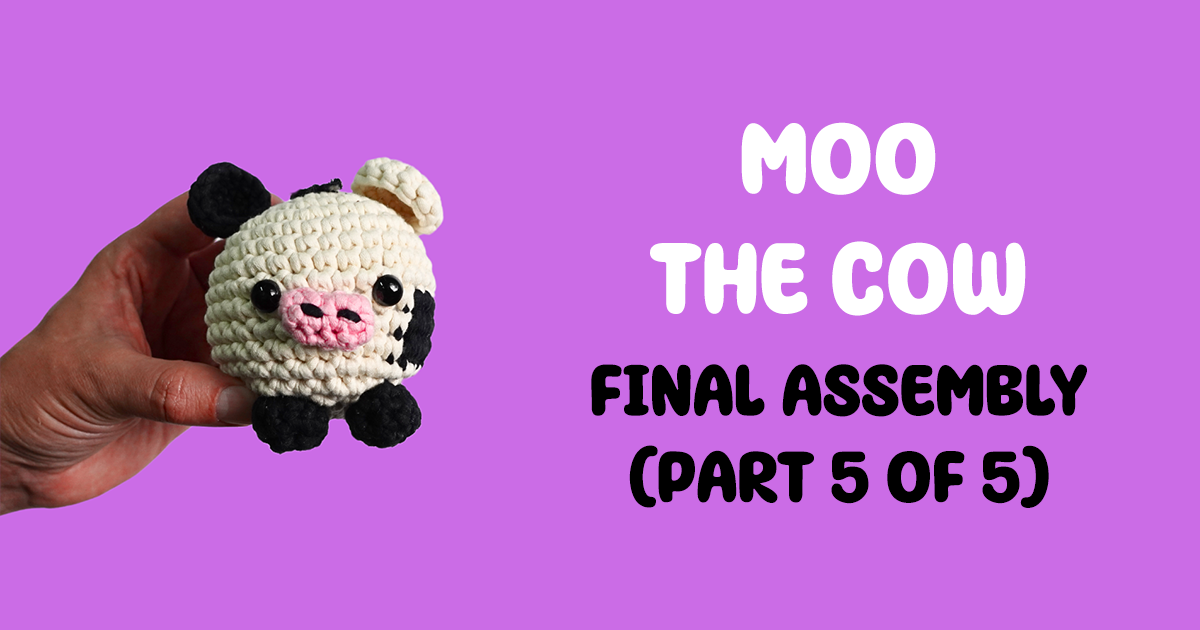 Load video: Final Assembly (Part 5 of 5)